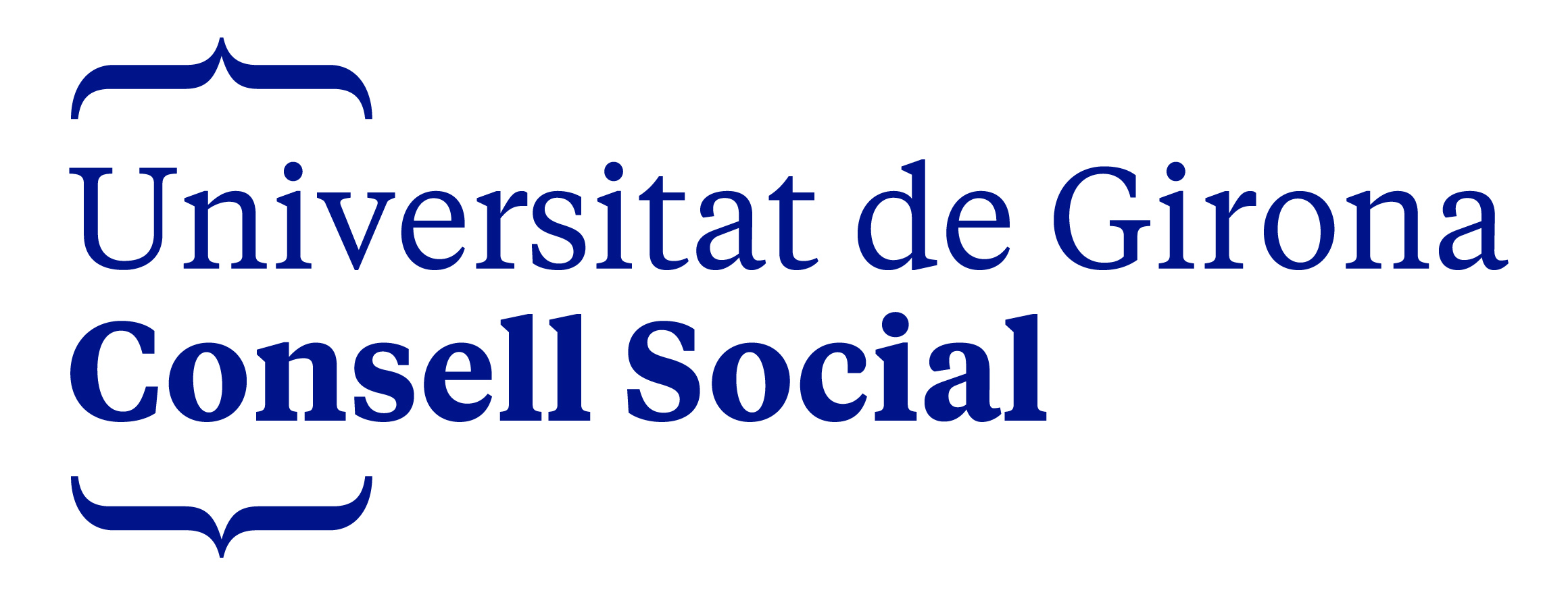 Consell Social UdG